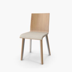 Leather Wood Chair